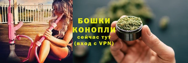 ГАЛЛЮЦИНОГЕННЫЕ ГРИБЫ Карпинск