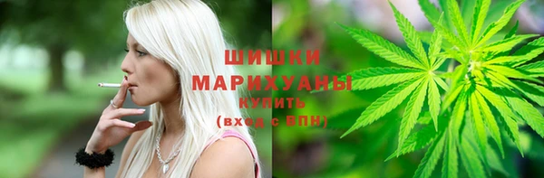 дживик Касимов