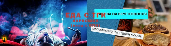 дживик Касимов