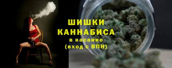 дживик Касимов