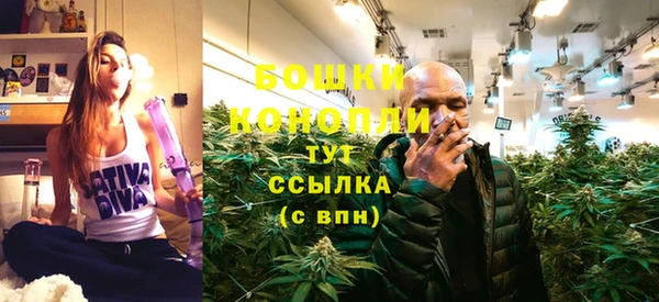 дживик Касимов