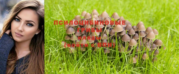 молекула духа Киренск