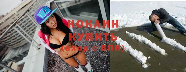 дживик Касимов