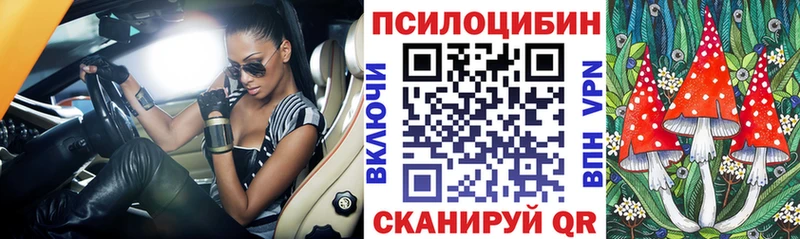 Купить  Игарка  Галлюциногенные грибы Psilocybe 